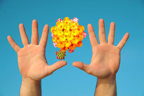 GÓC CHIA SẺ: NGÓN TAY