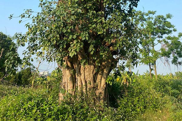 GÓC CHIA SẺ: KHOẢNG THẤP