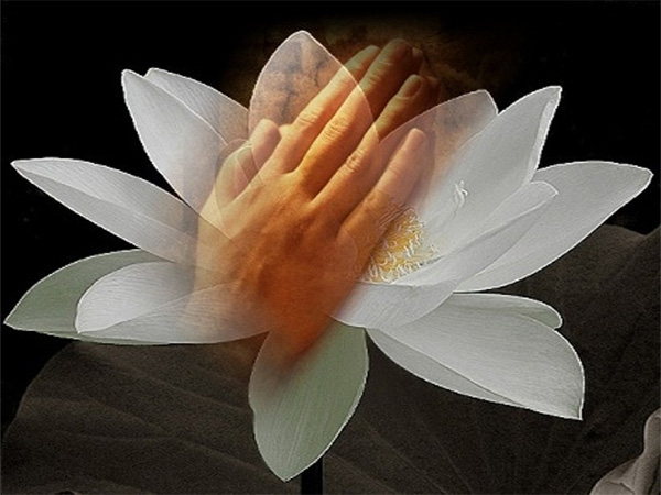 GÓC CHIA SẺ: NÂNG TAY