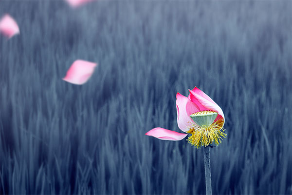 GÓC CHIA SẺ: KHOẢNG CHỪNG