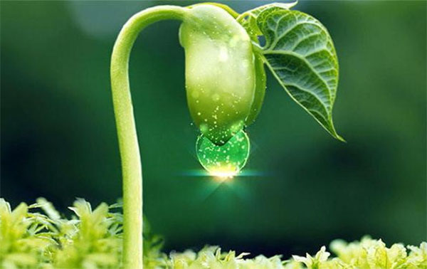 GÓC CHIA SẺ: KHOẢNG NGẮN