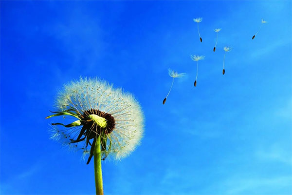 GÓC CHIA SẺ: NHỚ RỒI