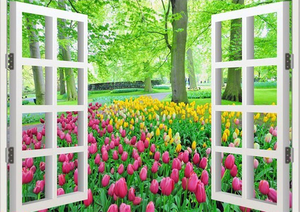 GÓC CHIA SẺ: KHUNG CỬA SỔ