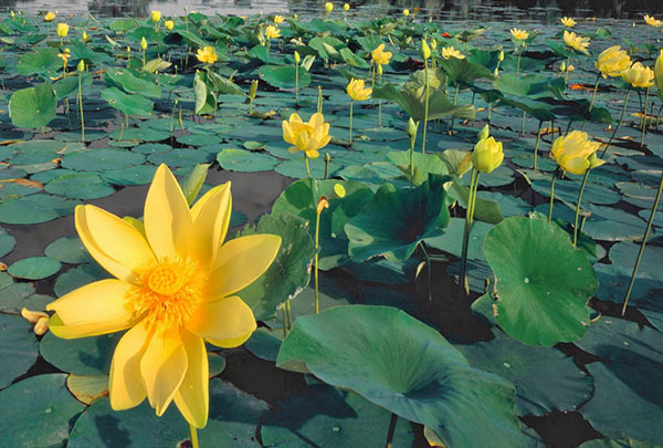 GÓC CHIA SẺ: KHOẢNG SAU