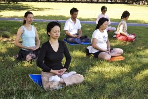 Thực hành Giáo pháp trong cuộc sống bộn bề