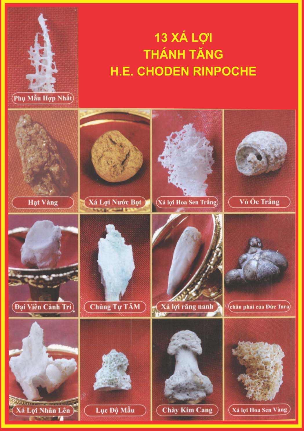 LỄ QUÁN ĐẢNH ĐỨC LỤC ĐỘ MẪU TARA VÀ CHIÊM BÁI XÁ LỢI NGÀI CHODEN RINPOCHE