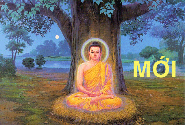 ĐỨC PHẬT TRONG CÁI NHÌN CỦA CÁC NHÀ KHOA HỌC