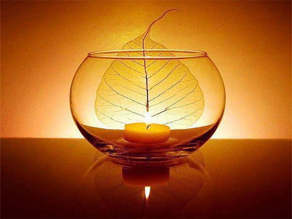 GÓC CHIA SẺ: VÔ MINH