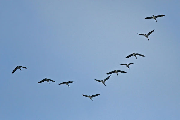 GÓC CHIA SẺ: KHOẢNG RỘNG