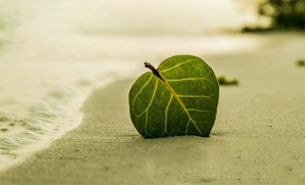 GÓC CHIA SẺ: THẲNG TAY