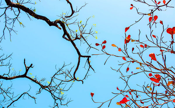 GÓC CHIA SẺ: CHUYỂN MÙA