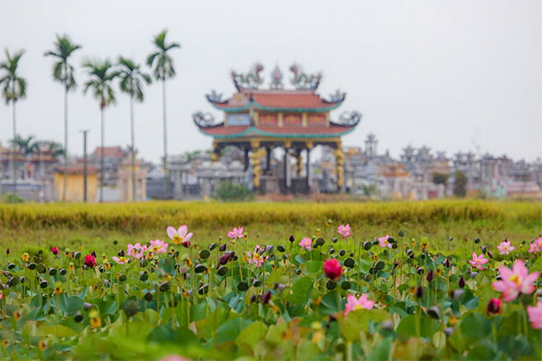 GÓC CHIA SẺ: NHỚ BÓNG