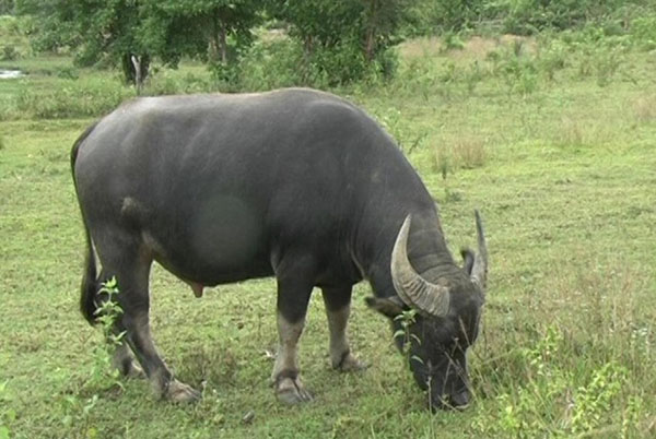 GÓC CHIA SẺ: ANH SỬU