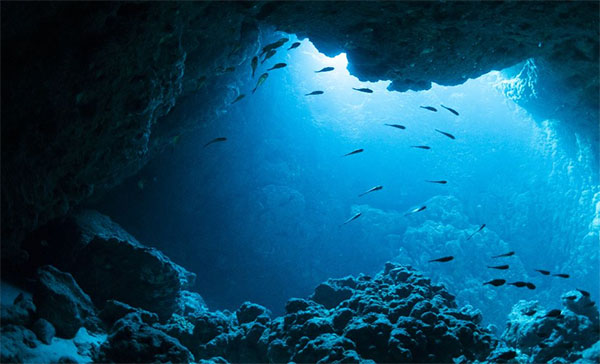 GÓC CHIA SẺ: KHOẢNG CHÌM